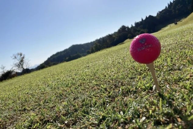 朝日に照らされた緑色のゴルフコースの芝生に、ピンク色のゴルフボールがティーに乗っている画像。リゾートバイトの休日や合間に、ゴルフを楽しんでいるイメージ
