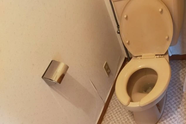 リゾートバイトの寮のトイレの画像。クリーム色の便器と、トイレットペーパーホルダーが備え付けられている。リゾートバイトの寮のトイレの画像。