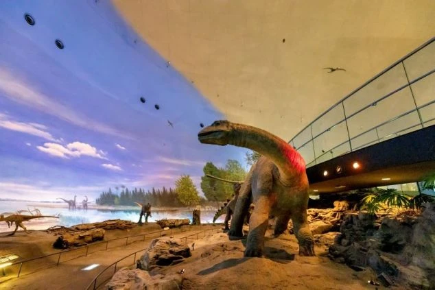 ドーム型の広々とした展示室に、巨大な恐竜の骨格標本や実物大の模型が展示されている画像。福井県芦原温泉でのリゾートバイトの休日に、福井県立恐竜博物館を楽しむイメージ