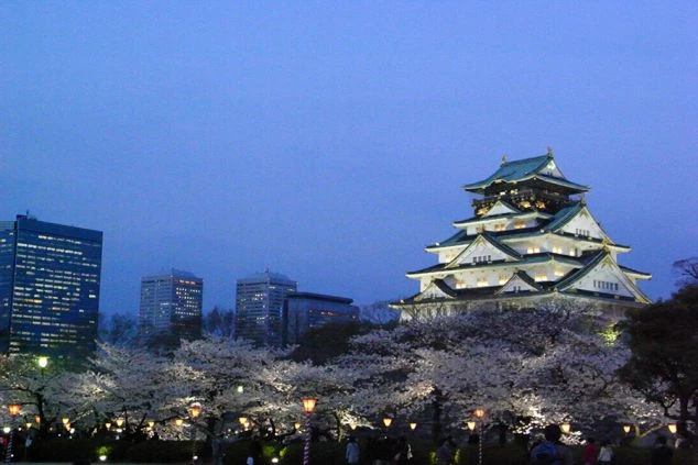 夜の大阪府の観光地「大阪城」の画像