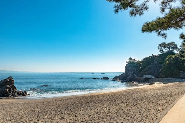 高知県の調理のリゾートバイトをイメージさせるビュッフェ料理の画像。