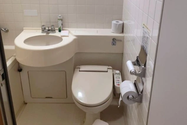 ユニットバスのトイレと洗面台。温水洗浄便座（ウォシュレット）が完備されている。