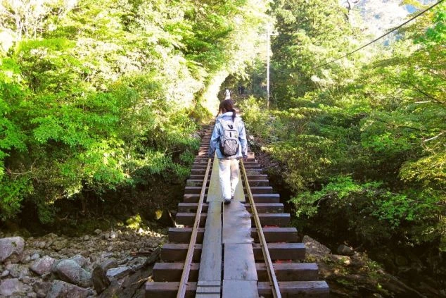 森の中のトロッコ道を歩く女性の後ろ姿。
