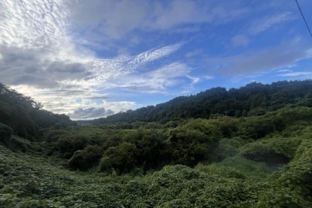鳥取県・大山周辺の画像。新緑の山々が広がる雄大な自然。