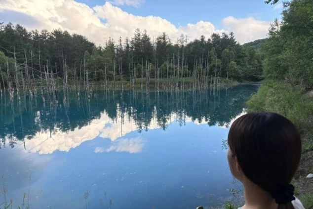 北海道・美瑛の観光名所「白金青い池」を眺める女性の画像。水面に反射する白い枯れ木と青い池の幻想的なコントラスト。