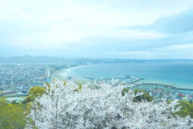 鴨川の海岸沿いを上空から見た風景。
