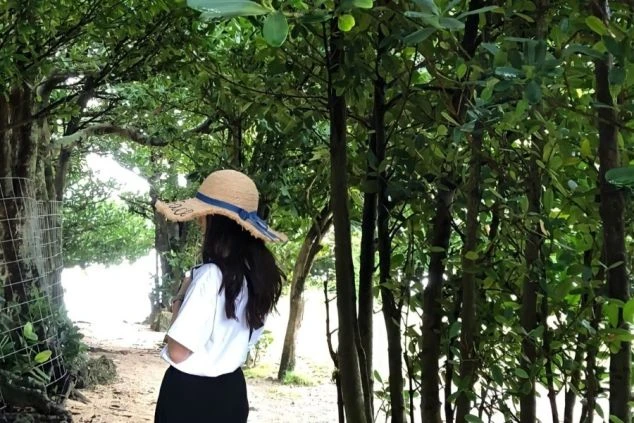 木々に囲まれた小道を歩く、麦わら帽子をかぶった20代女性のワクトリスタッフの後ろ姿。リゾートバイトで自然豊かな場所での生活や、仕事の合間に散策を楽しみたい方に魅力が伝わるワクトリオリジナル画像。