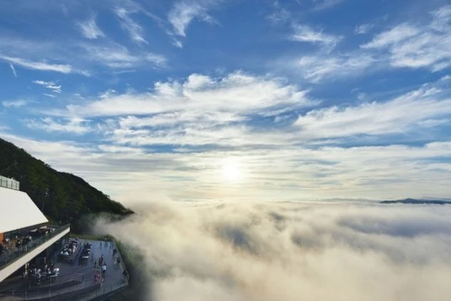 リゾートバイトの勤務先にある施設。雲海が広がる山頂テラスから、日の出を望む絶景。多くの観光客がその景色を楽しんでいる。