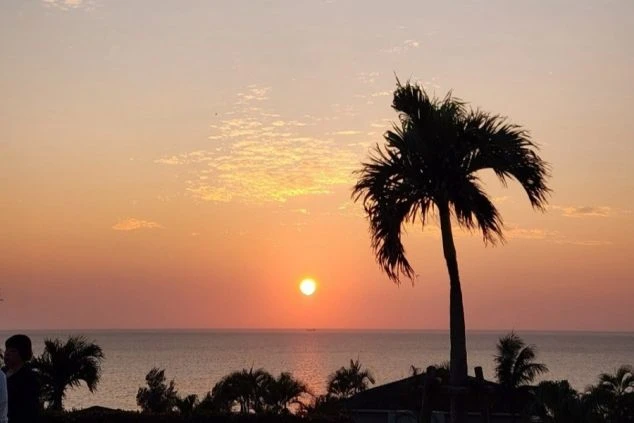 地平線に沈む夕日が海をオレンジ色に染め、ヤシの木のシルエットが浮かび上がる宮古島の夕焼け。リゾートバイトの仕事の後に、美しいサンセットを楽しみたい方に魅力的な画像。