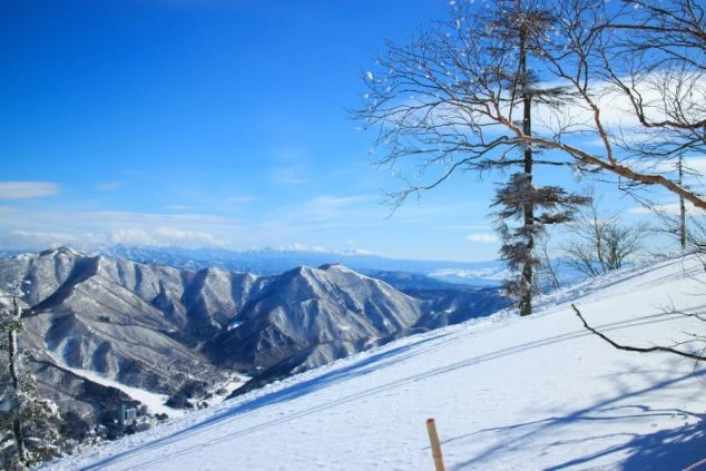 広大なゲレンデでスキーヤーが滑走するスキー場のイメージ画像。リゾートバイトの休日を満喫。
