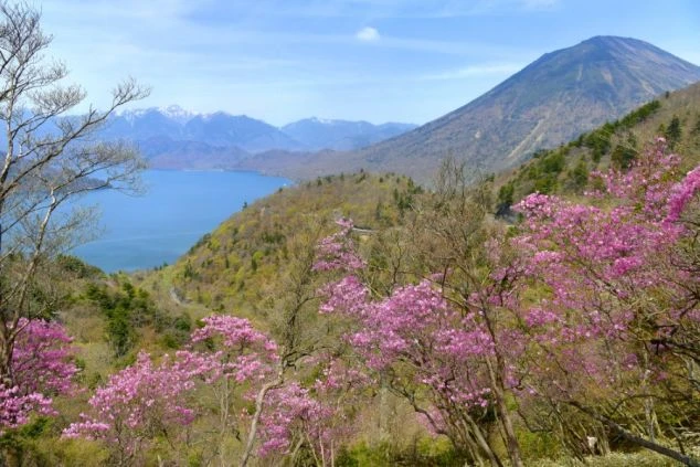 広がる紅葉の山々と遠くの雪山を眺める女性。展望台からの美しい景色を堪能している。リゾートバイトの休日の過ごし方のイメージ。
