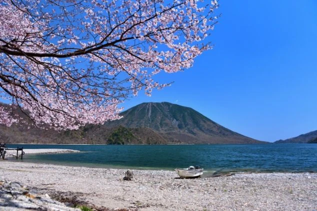 青い湖と雄大な山々が広がる絶景。手前には木々が生い茂り、空には白い雲が浮かんでいる。