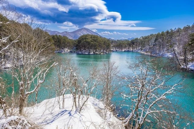 雪に覆われた木々とエメラルドグリーンの湖が広がる冬の景色。遠くには山々が見える。