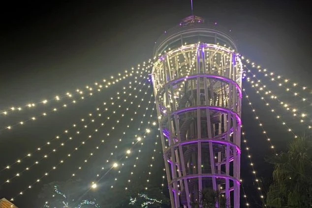 江の島シーキャンドルの夜間の画像。