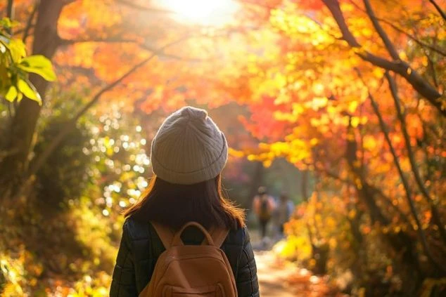紅葉に染まる山々と、川沿いにホテルが並ぶ温泉街の秋の絶景のイメージ画像。リゾートバイトの休日を満喫。