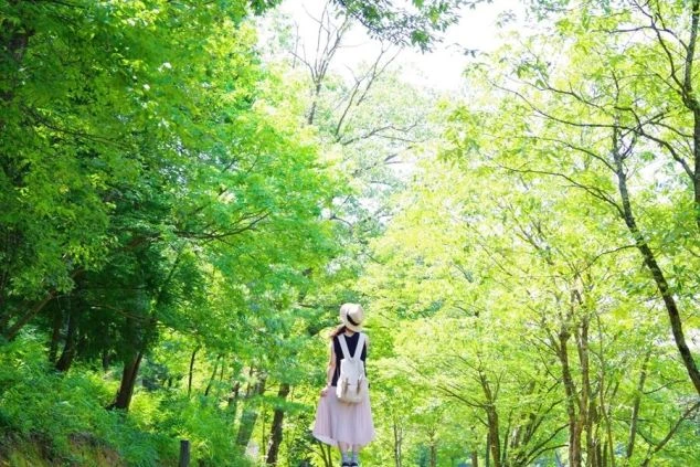 新緑の木々の中を歩く女性の後ろ姿の画像。麦わら帽子とリュックを背負い、自然の中でリラックスしている。