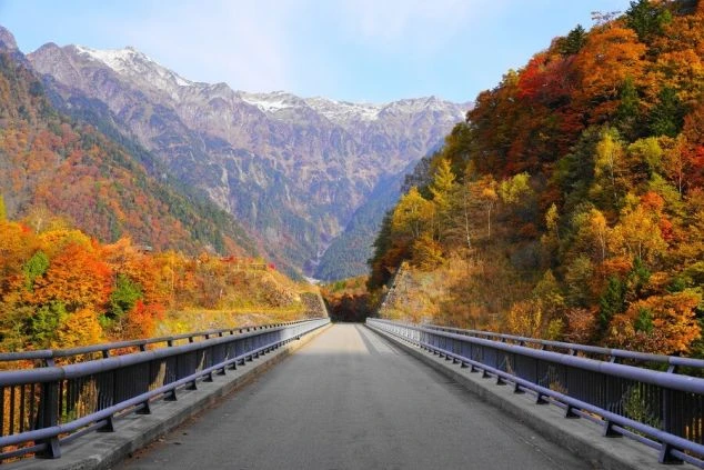紅葉に染まる山々の中を道路がまっすぐ伸びる絶景のイメージ画像。遠くに雪を被った山々が見える。リゾートバイトの休日を満喫。