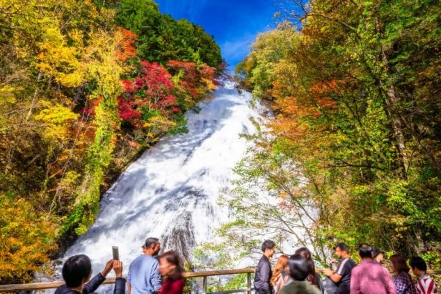 壮大な滝が紅葉に囲まれて流れ落ち、その下には木製の展望台から景色を眺めたり写真を撮ったりしている観光客のグループが見える。