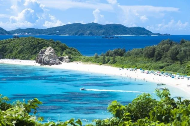 緑豊かな山に囲まれた美しいビーチ。エメラルドグリーンに輝く海で、海水浴を楽しむ人々の姿。