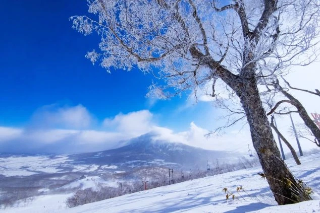 夕日の中で、雪で白く覆われた山々と樹氷になった木々が広がるスキー場の絶景画像。リゾートバイトの休日に壮大な冬の景色が楽しめるイメージ。