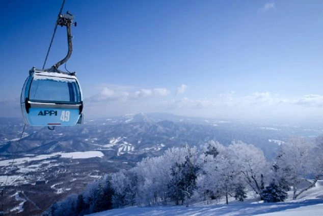 スキー場のゴンドラから見下ろす、壮大な冬の絶景。リゾートバイトの休日にゴンドラに乗って見る山頂からのパノラマビューのイメージ。