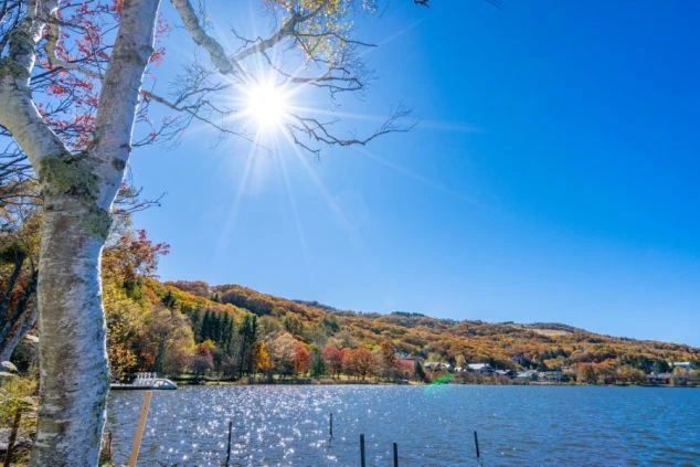 太陽の光が水面に反射して輝く白樺湖の秋の風景。湖畔に広がる紅葉と白い木々が美しく、リゾートバイトの休日に自然を満喫したい方に魅力的な画像。