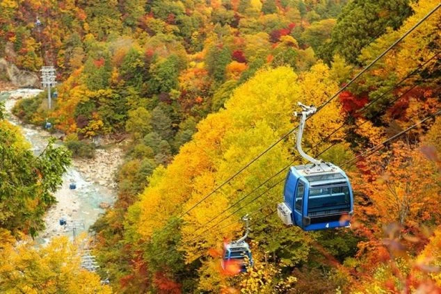 紅葉が美しい山々を上っていくゴンドラリフト。渓流と色鮮やかな木々が織りなす絶景。