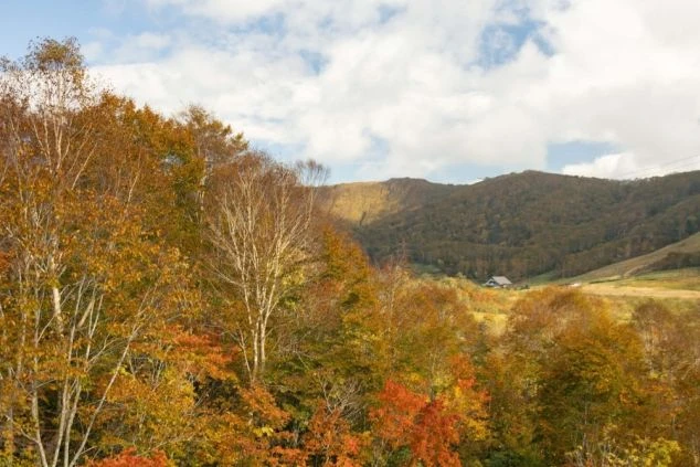 紅葉が美しい山々の景色。黄色やオレンジ色に染まった木々と、遠くに見える家屋が牧歌的な雰囲気。