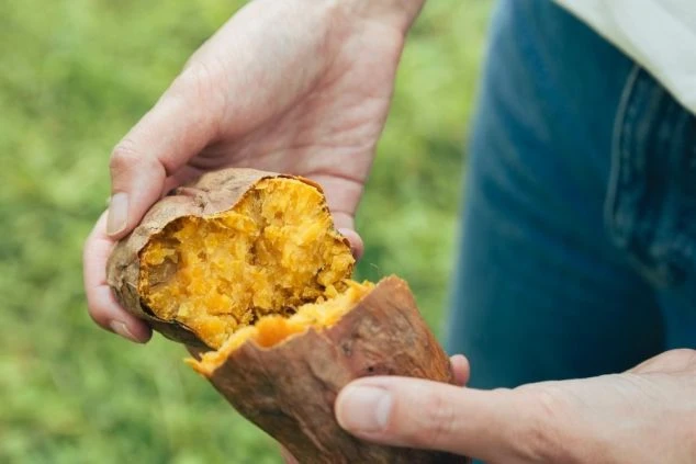 焼きたてのホクホクしたサツマイモ。熱気を帯びた中身が、美味しそうな様子を伝えている。