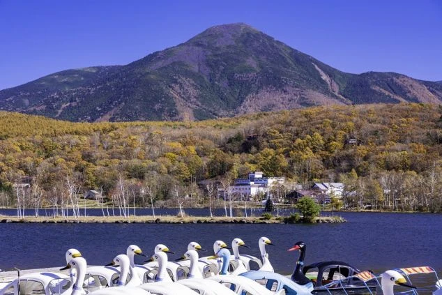 紅葉が始まった山々を背景に、白樺湖に浮かぶスワンボートが並ぶ風景。リゾートバイトの休日にレジャーを楽しめることを示す、秋の白樺湖の画像。