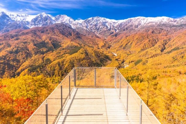 リゾートバイトの勤務地である長野県白馬の、紅葉で色づいた山々とテラスの絶景の画像。