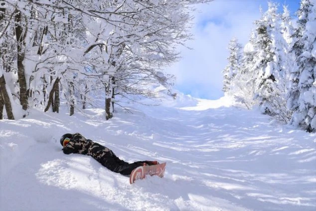 白と黒の柄のスノースーツを着た人が、スノーボードの横で顔を下にして深い雪の中に横たわっており、周りは雪に覆われた木々に囲まれている。