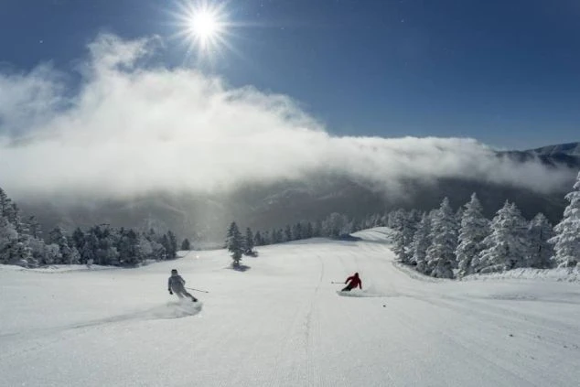 晴れた日のゲレンデで、雲海を背景にスキーで滑り降りる2人。