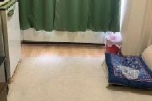 リゾートバイトの寮の室内。床に敷かれたマットと布団が見え、窓際にはカーテンがかかっています。