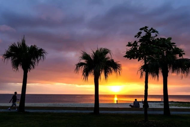 夕焼けの空と海が広がる北谷公園サンセットビーチの画像。ヤシの木がシルエットになっている。