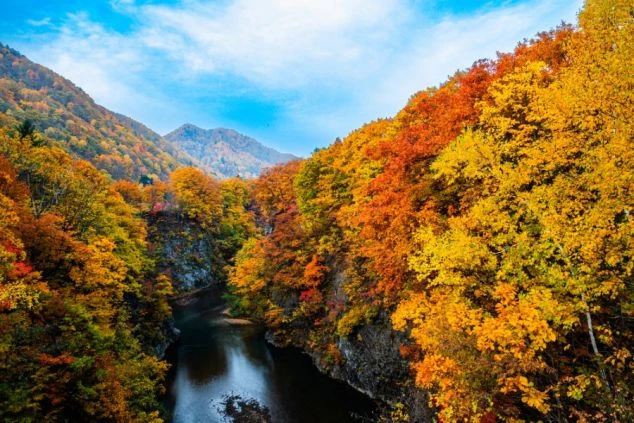 定山渓の秋の風景。紅葉した山々の間を川が流れている。