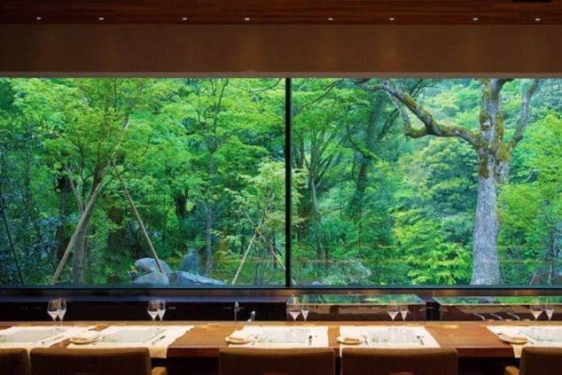 窓から緑の木々が見えるレストラン。窓に面したカウンター席には、テーブルセッティングがされている。