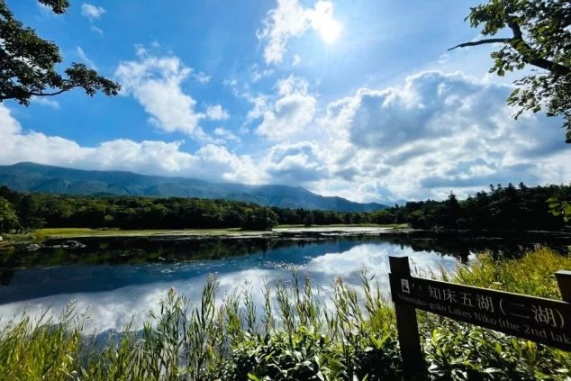 北海道の知床五湖の美しい風景。雲が反射する湖面と緑豊かな山々が広がり、リゾートバイトで大自然に囲まれた場所で働けることを示唆します。