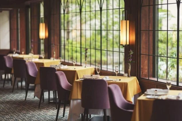 窓から緑が見える高級ホテルの落ち着いたレストランのテーブル席の画像。