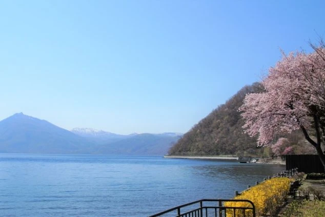 快晴の北海道支笏湖と湖畔の遊歩道の画像。