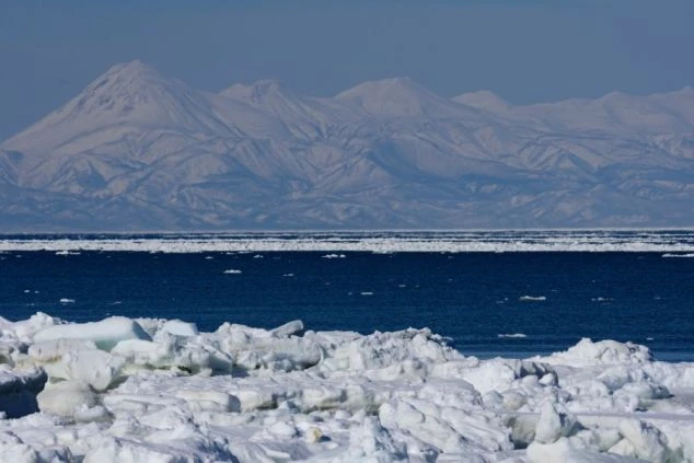 海に面したホテルにある木製のサウナ室の画像。窓から海が見え、リゾートバイトの仕事終わりにリラックスできる魅力。