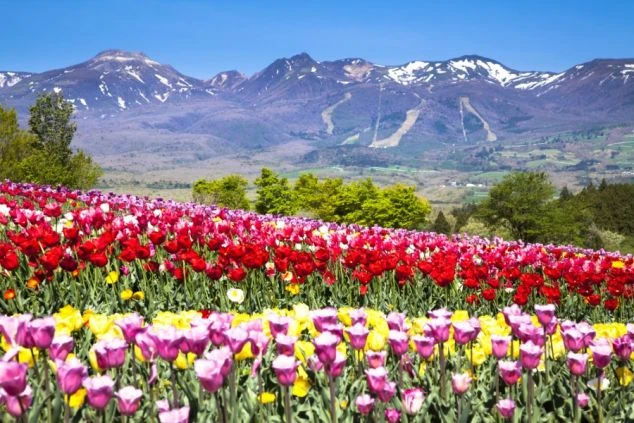 リゾートバイトの仕事風景のイメージ画像。カフェで働く女性スタッフと笑顔で会話する外国人男性。