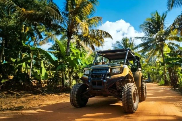 悪路でも走れるオフロード車が、ヤシの木が生い茂るジャングルの道を走っている。