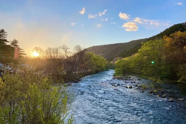 新緑が眩しい季節の奥入瀬渓流の画像。川の流れと周囲の緑が美しく、自然を満喫できます。