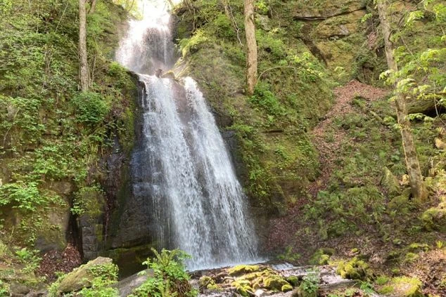 奥入瀬渓流の代表的な滝の一つ「銚子大滝」の画像。轟々と流れ落ちる水しぶきが迫力満点です。