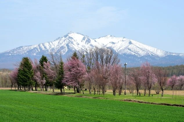 美しい湖と緑豊かな森が広がる知床五湖の画像。リゾートバイトの休日に自然を満喫できる魅力。