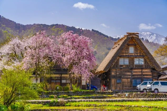 合掌造り風の屋根が特徴的な、風情ある岐阜県白川郷エリアの温泉旅館の玄関アプローチの画像。