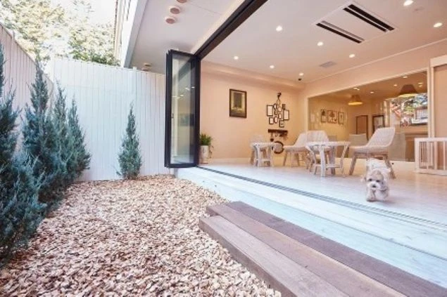 リゾートバイトの社員寮やホテルの部屋のイメージ画像。ウッドデッキの庭がついた洋室で、小型犬が走っている様子。