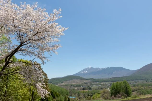山々の景色、レストラン、夕焼けに染まる空の写真がコラージュされている。テキストで「群馬県 | 万座温泉」「生活費0円 × 温泉入り放題」「レストランスタッフ」と書かれている。