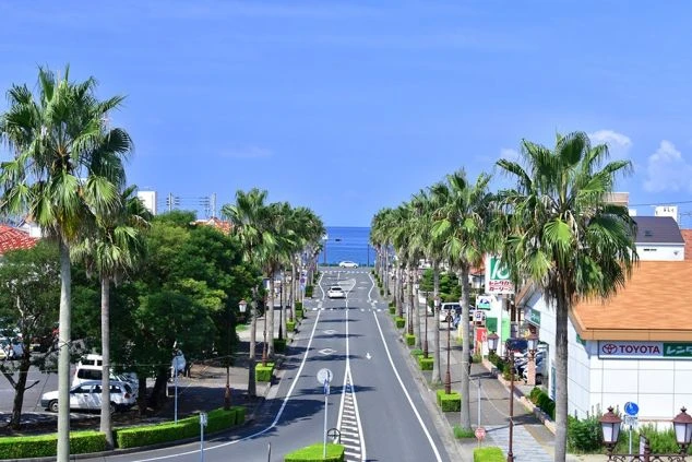 リゾートバイトの休日に観光するイメージ画像。道の両側にヤシの木が並び、その先に海が見える南国風の道路の風景。